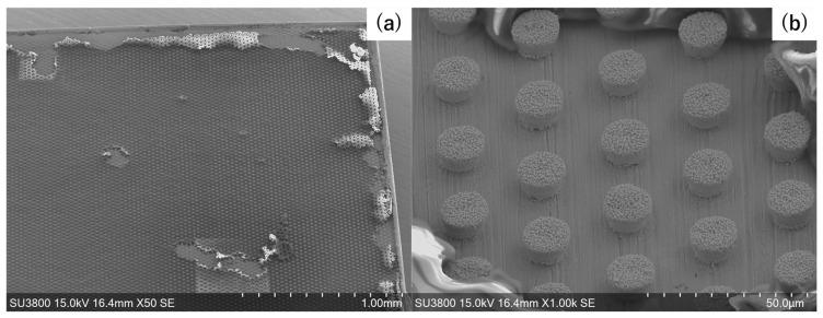 https://cdn.ncbi.nlm.nih.gov/pmc/blobs/7fde/12195436/03a8670b25b5/micromachines-16-00696-g006.jpg