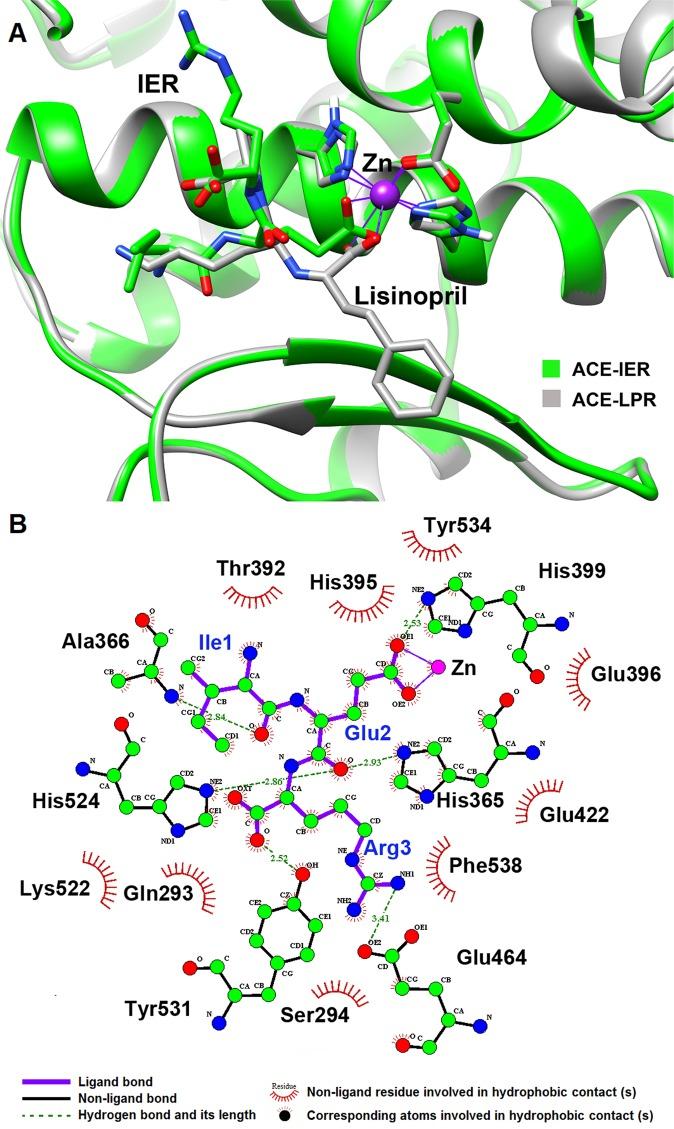 https://cdn.ncbi.nlm.nih.gov/pmc/blobs/7fdf/7055321/cda2166ddd4e/41598_2020_60972_Fig3_HTML.jpg