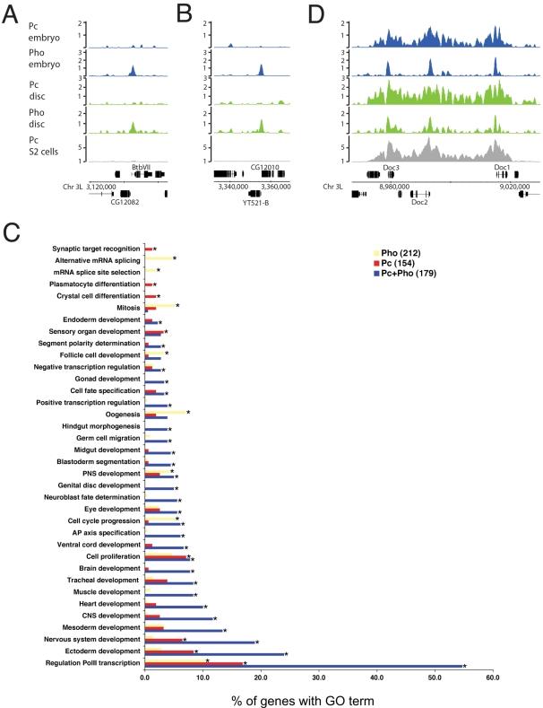 https://cdn.ncbi.nlm.nih.gov/pmc/blobs/7fe2/2525605/69d555f9a436/pgen.1000178.g002.jpg