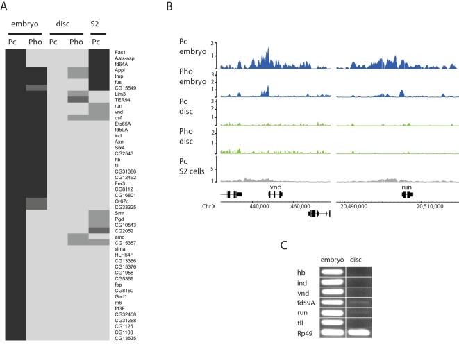 https://cdn.ncbi.nlm.nih.gov/pmc/blobs/7fe2/2525605/92ba58ac1b27/pgen.1000178.g006.jpg