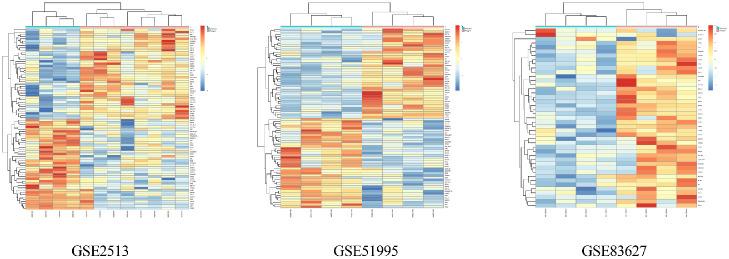 https://cdn.ncbi.nlm.nih.gov/pmc/blobs/7fe2/7425729/7f4e1d5faccd/iovs-61-8-12-f002.jpg