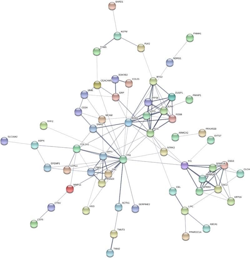 https://cdn.ncbi.nlm.nih.gov/pmc/blobs/7fe2/7425729/8484403bd1ee/iovs-61-8-12-f004.jpg