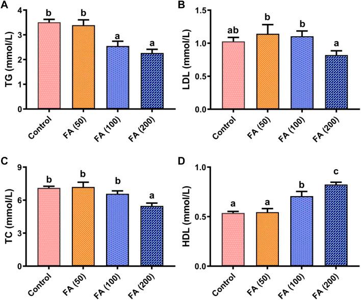 https://cdn.ncbi.nlm.nih.gov/pmc/blobs/7fe4/9441557/b672bb943712/fphys-13-922037-g003.jpg