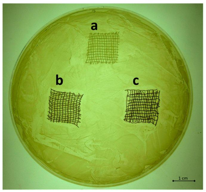 https://cdn.ncbi.nlm.nih.gov/pmc/blobs/7fe7/5456794/bdd765af752a/materials-09-00411-g002.jpg