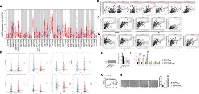 https://cdn.ncbi.nlm.nih.gov/pmc/blobs/7fe7/8818863/3259b54a93bb/fimmu-12-758040-g007.jpg