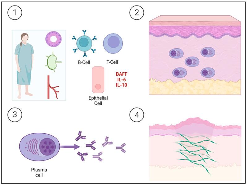 https://cdn.ncbi.nlm.nih.gov/pmc/blobs/7fe9/10139233/1a5db03359a4/ijms-24-07378-g002.jpg