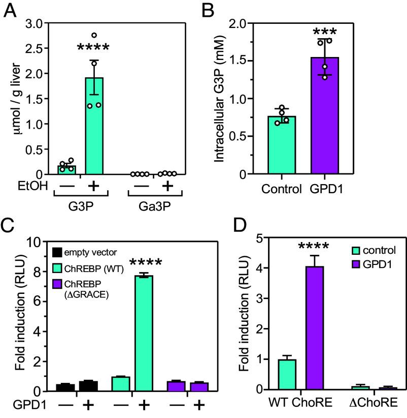 https://cdn.ncbi.nlm.nih.gov/pmc/blobs/7fe9/12146743/2ee0926da74a/pnas.2505263122fig05.jpg