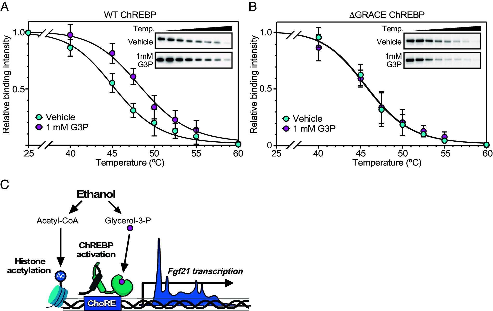 https://cdn.ncbi.nlm.nih.gov/pmc/blobs/7fe9/12146743/3493aca8e1bd/pnas.2505263122fig06.jpg