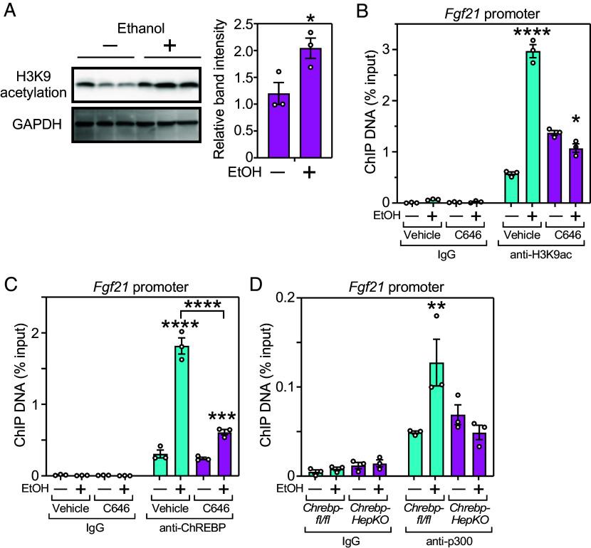 https://cdn.ncbi.nlm.nih.gov/pmc/blobs/7fe9/12146743/ed73d364a39c/pnas.2505263122fig04.jpg