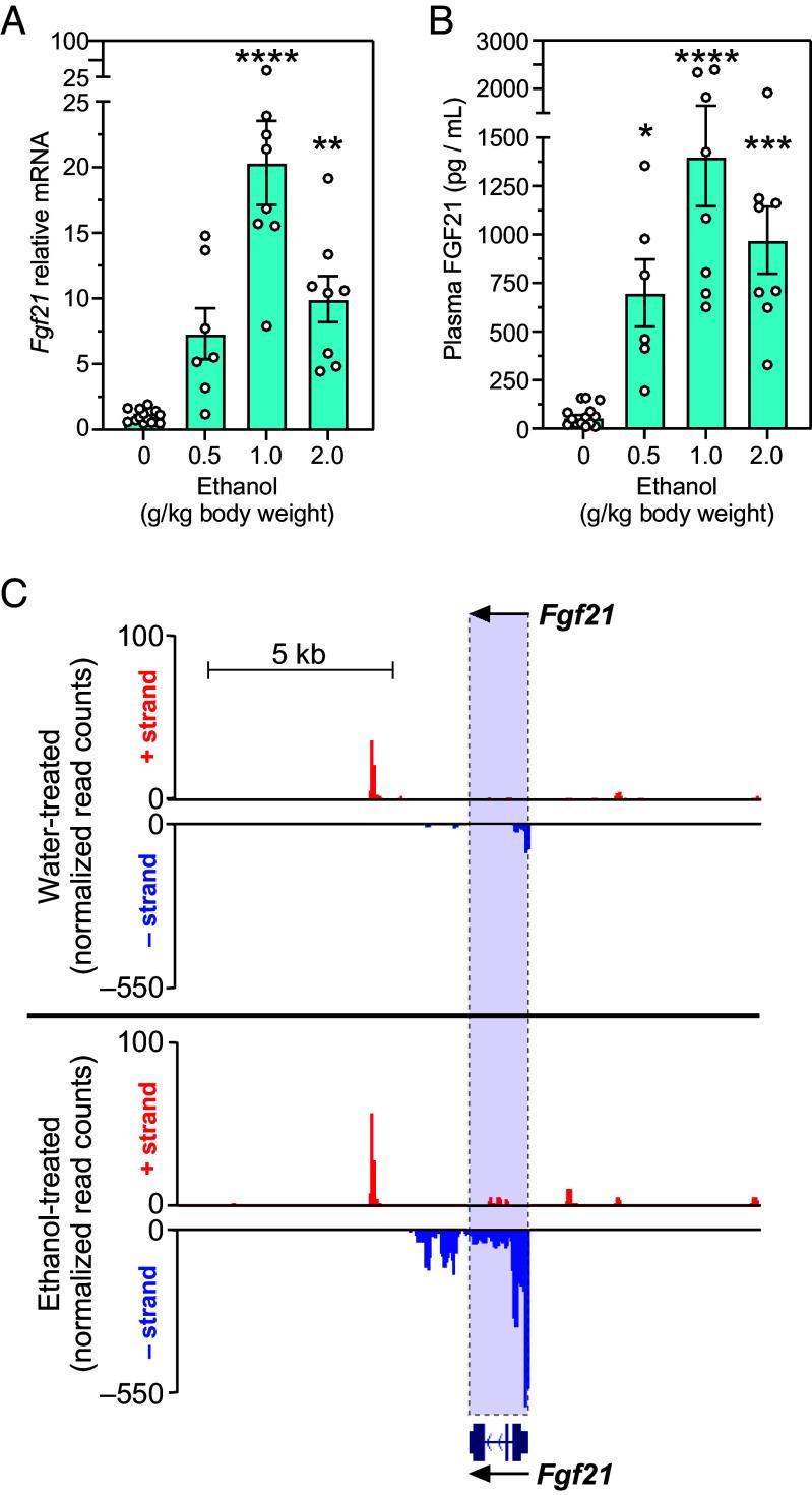 https://cdn.ncbi.nlm.nih.gov/pmc/blobs/7fe9/12146743/f388409af2dc/pnas.2505263122fig01.jpg