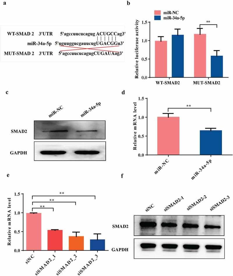 https://cdn.ncbi.nlm.nih.gov/pmc/blobs/7fea/9995130/ec853898dc23/KBIE_A_2085388_F0006_OC.jpg