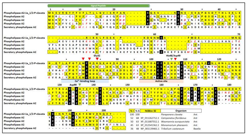 https://cdn.ncbi.nlm.nih.gov/pmc/blobs/7feb/7290781/9fea4ccd65e9/toxins-12-00324-g005.jpg
