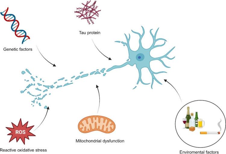 https://cdn.ncbi.nlm.nih.gov/pmc/blobs/7ff2/11340000/b9e40f9b350b/ao4c01774_0001.jpg