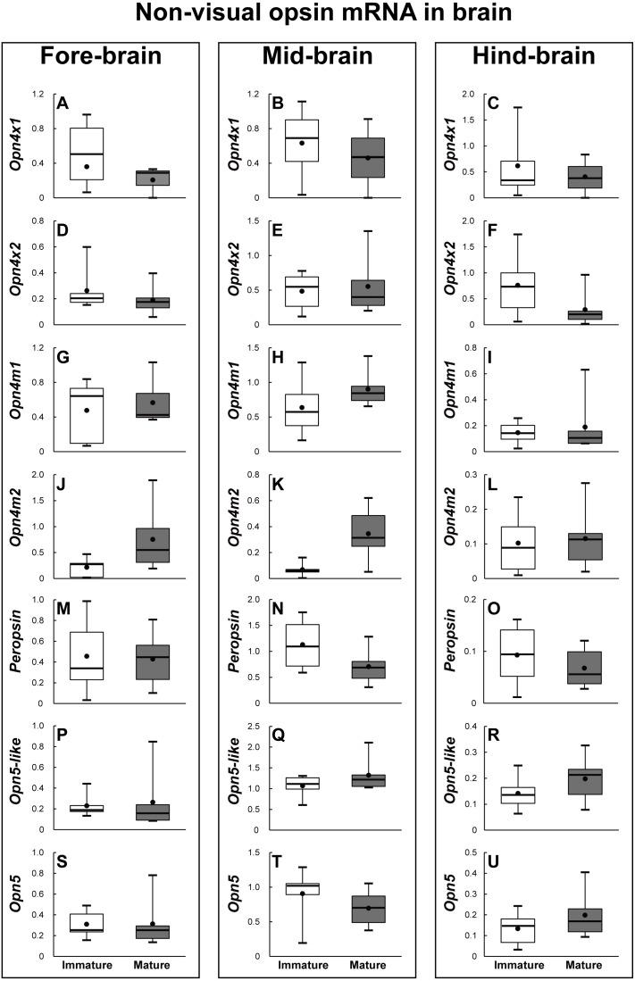 https://cdn.ncbi.nlm.nih.gov/pmc/blobs/7ff2/7049458/8d23fddc4594/peerj-08-8326-g008.jpg