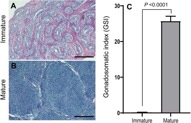 https://cdn.ncbi.nlm.nih.gov/pmc/blobs/7ff2/7049458/982c7b57563e/peerj-08-8326-g003.jpg