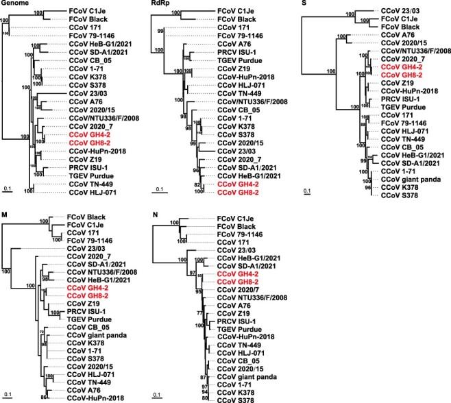 https://cdn.ncbi.nlm.nih.gov/pmc/blobs/7ff2/9240832/7744ae942323/veac046f2.jpg
