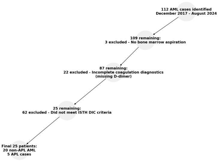 https://cdn.ncbi.nlm.nih.gov/pmc/blobs/7ff5/11817403/bd4172978b3a/diagnostics-15-00383-g001.jpg