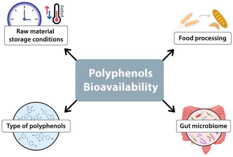 https://cdn.ncbi.nlm.nih.gov/pmc/blobs/7ff8/11505337/110114fabc48/antioxidants-13-01220-g002.jpg
