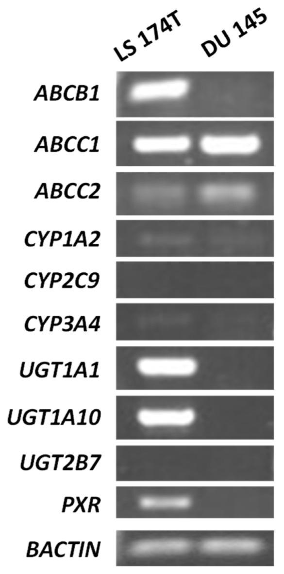 https://cdn.ncbi.nlm.nih.gov/pmc/blobs/7ffa/11644013/c0b7ff5310a7/molecules-29-05582-g002.jpg