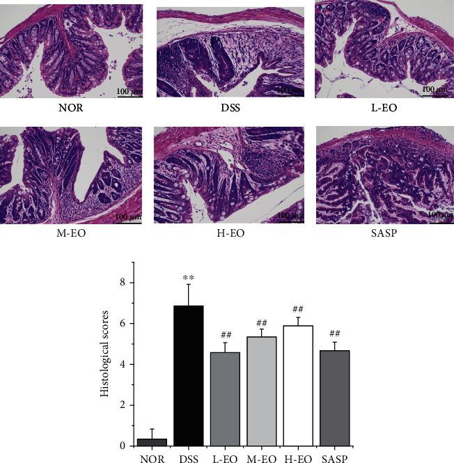 https://cdn.ncbi.nlm.nih.gov/pmc/blobs/7ffc/9279075/e17231add66f/OMCL2022-9701938.006.jpg