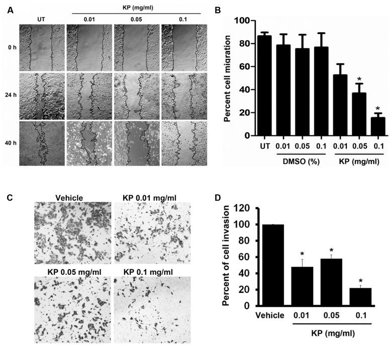 https://cdn.ncbi.nlm.nih.gov/pmc/blobs/7ffd/5600991/29d10edd41f7/fphar-08-00630-g004.jpg
