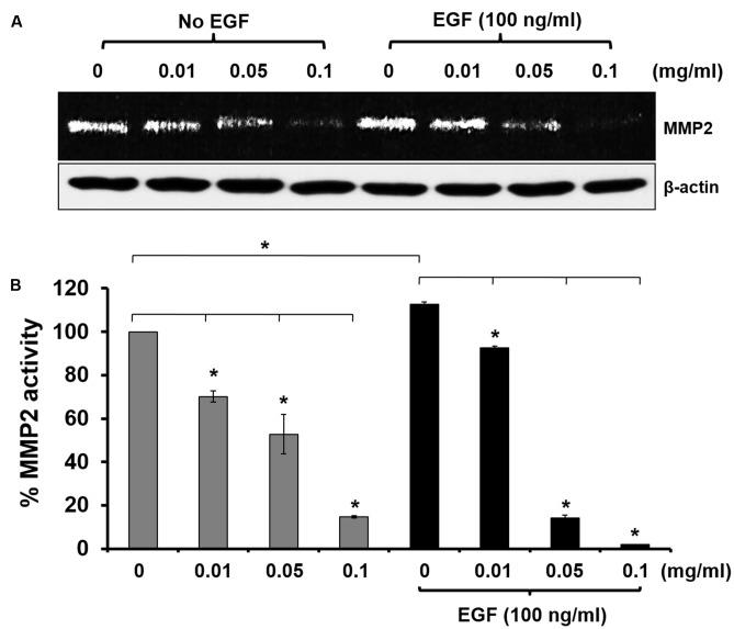 https://cdn.ncbi.nlm.nih.gov/pmc/blobs/7ffd/5600991/7f165abf62df/fphar-08-00630-g005.jpg