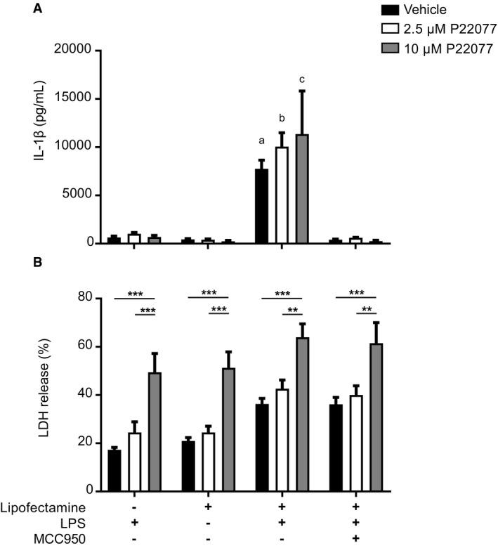 https://cdn.ncbi.nlm.nih.gov/pmc/blobs/7ffd/6172458/6b0216e09446/EMBR-19-e44766-g009.jpg
