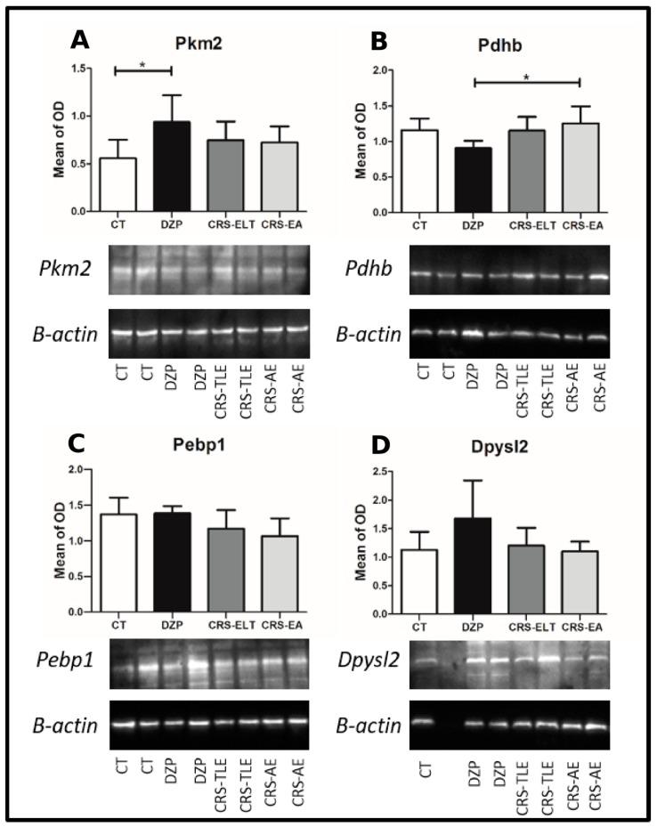 https://cdn.ncbi.nlm.nih.gov/pmc/blobs/8003/5620611/071ea2101fae/pharmaceuticals-10-00067-g005.jpg