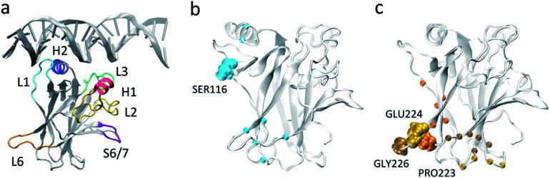 https://cdn.ncbi.nlm.nih.gov/pmc/blobs/8003/8179107/02b41591de24/d0sc05053a-f1.jpg