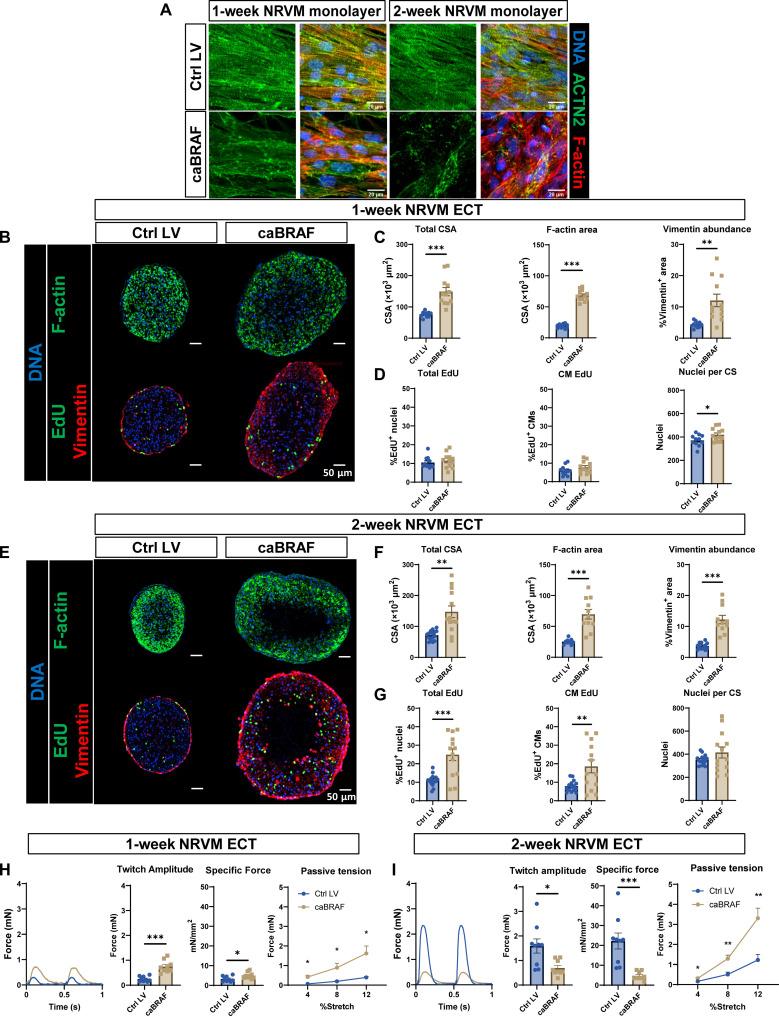 https://cdn.ncbi.nlm.nih.gov/pmc/blobs/8006/10807800/5007b43e8463/sciadv.adh2598-f1.jpg