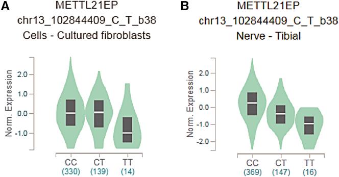 https://cdn.ncbi.nlm.nih.gov/pmc/blobs/8007/7851491/21e49fcd0a2e/gr3.jpg