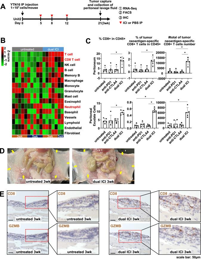 https://cdn.ncbi.nlm.nih.gov/pmc/blobs/8008/11335826/14313c41e4b8/10120_2024_1514_Fig2_HTML.jpg