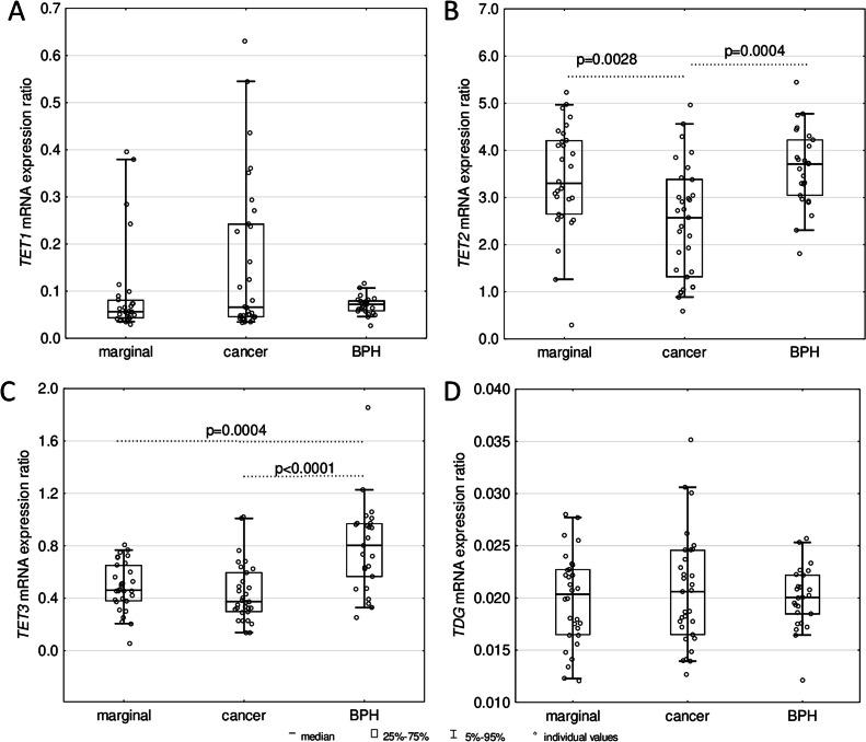 https://cdn.ncbi.nlm.nih.gov/pmc/blobs/8008/11550371/7fe4665247e9/gr6.jpg