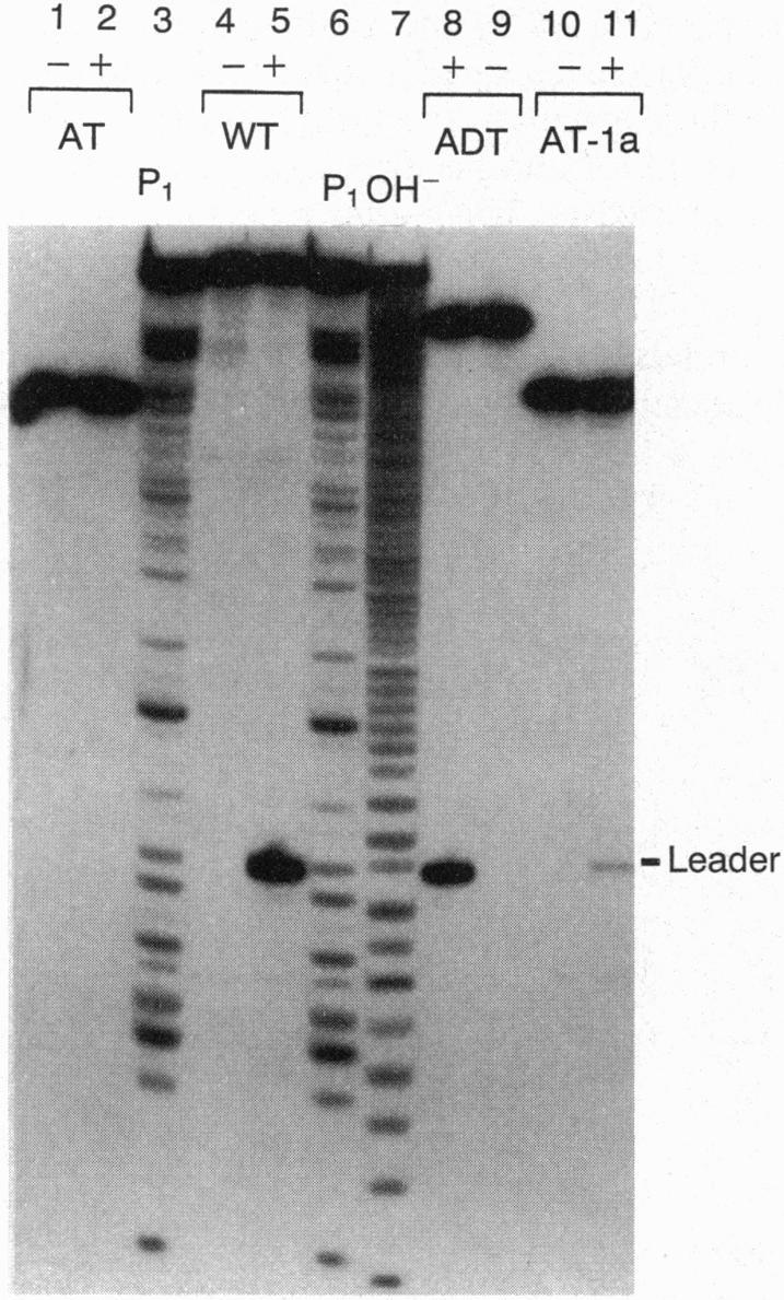 https://cdn.ncbi.nlm.nih.gov/pmc/blobs/8008/42271/6681a21a6718/pnas01485-0221-a.jpg
