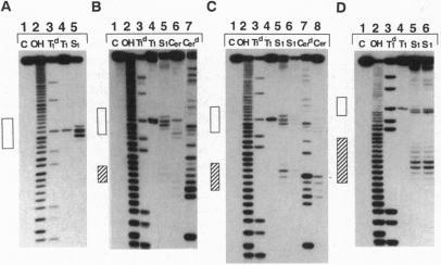 https://cdn.ncbi.nlm.nih.gov/pmc/blobs/8008/42271/74d11d3ec9ea/pnas01485-0222-a.jpg