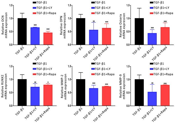 https://cdn.ncbi.nlm.nih.gov/pmc/blobs/800b/6471541/c478755723c6/MMR-19-05-3505-g08.jpg