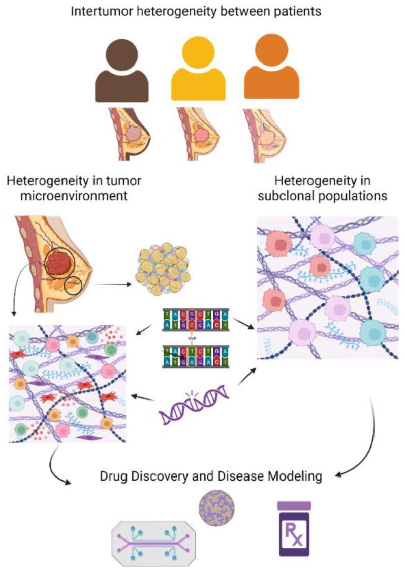 https://cdn.ncbi.nlm.nih.gov/pmc/blobs/800c/10931959/ad4efce4bd2f/ijms-25-02728-g001.jpg