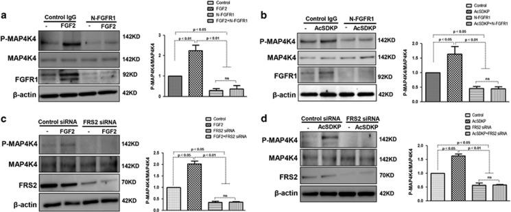 https://cdn.ncbi.nlm.nih.gov/pmc/blobs/800c/5596544/9fafee9c3304/cddis2017353f5.jpg