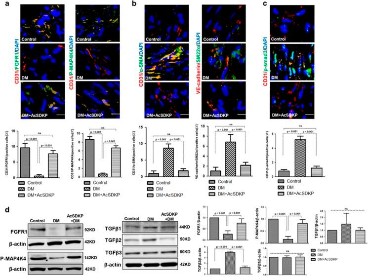 https://cdn.ncbi.nlm.nih.gov/pmc/blobs/800c/5596544/f9b4c5263ebe/cddis2017353f7.jpg