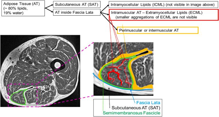 https://cdn.ncbi.nlm.nih.gov/pmc/blobs/800d/10465967/cc3911c48372/gr1.jpg