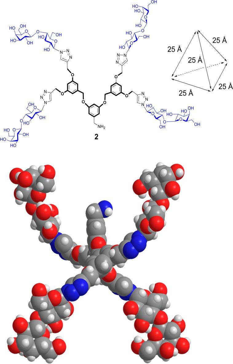 https://cdn.ncbi.nlm.nih.gov/pmc/blobs/800f/6272290/59223da30d92/molecules-20-01788-g014.jpg