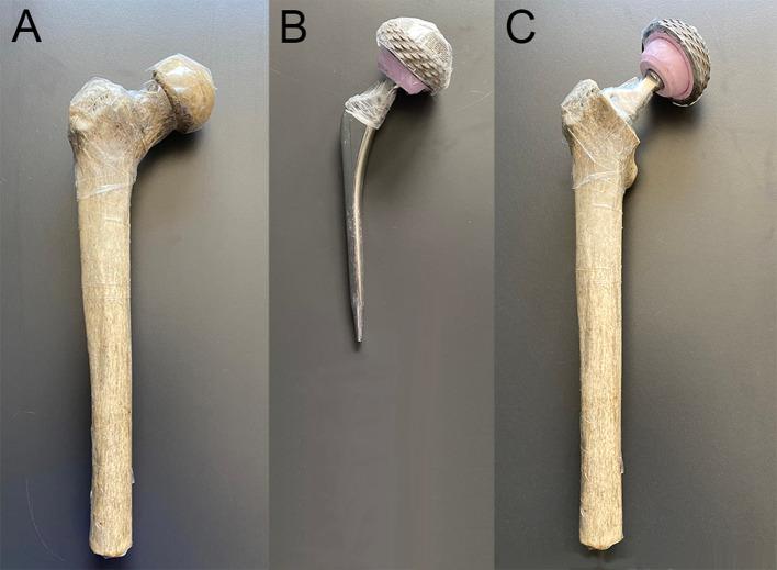 https://cdn.ncbi.nlm.nih.gov/pmc/blobs/8010/8502194/3dc39fec9cb3/40658_2021_414_Fig1_HTML.jpg