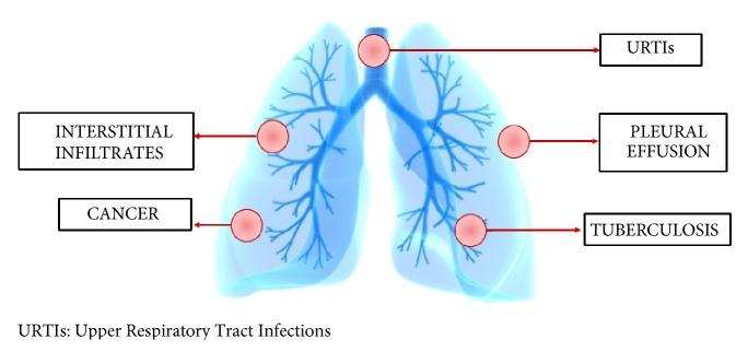 https://cdn.ncbi.nlm.nih.gov/pmc/blobs/8011/6590566/0eeafade8b48/BMRI2019-7315274.003.jpg