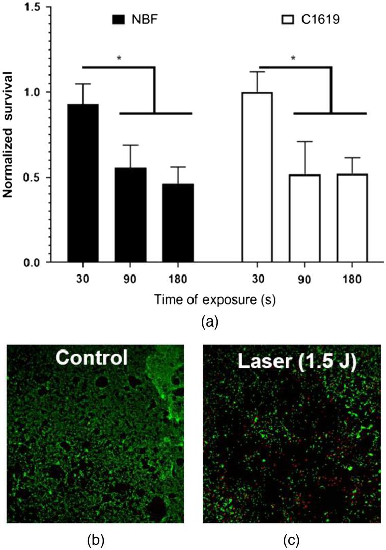 https://cdn.ncbi.nlm.nih.gov/pmc/blobs/8011/8058894/b377881fcda2/JBO-026-043012-g003.jpg