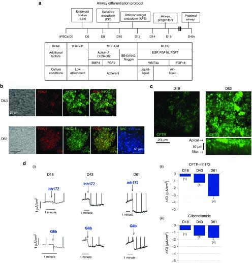 https://cdn.ncbi.nlm.nih.gov/pmc/blobs/8014/5012545/7eb96968f4e1/mtna201543f4.jpg