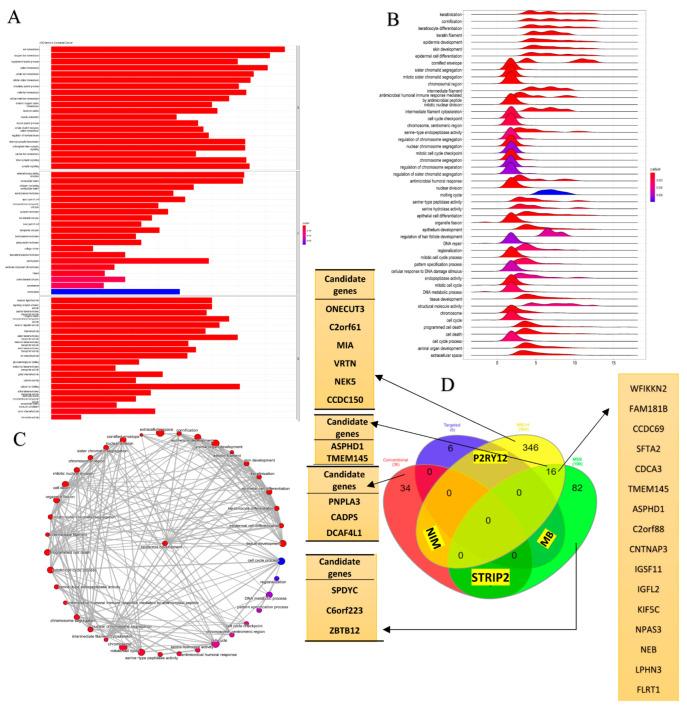 https://cdn.ncbi.nlm.nih.gov/pmc/blobs/8016/10486397/2407cb67faec/cancers-15-04300-g004.jpg