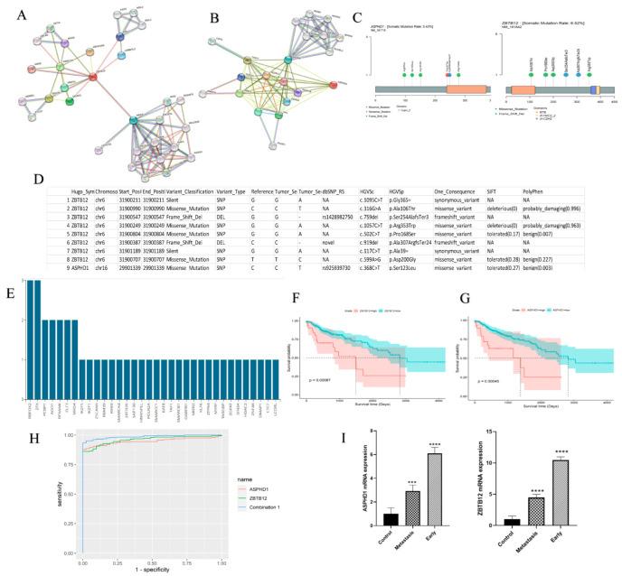https://cdn.ncbi.nlm.nih.gov/pmc/blobs/8016/10486397/4c80a91f4ddf/cancers-15-04300-g006.jpg