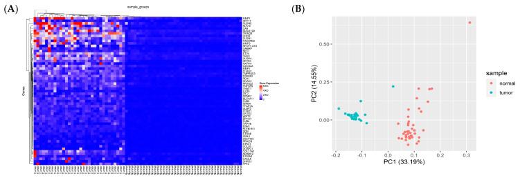https://cdn.ncbi.nlm.nih.gov/pmc/blobs/8016/10486397/a9e8c076bb80/cancers-15-04300-g003a.jpg