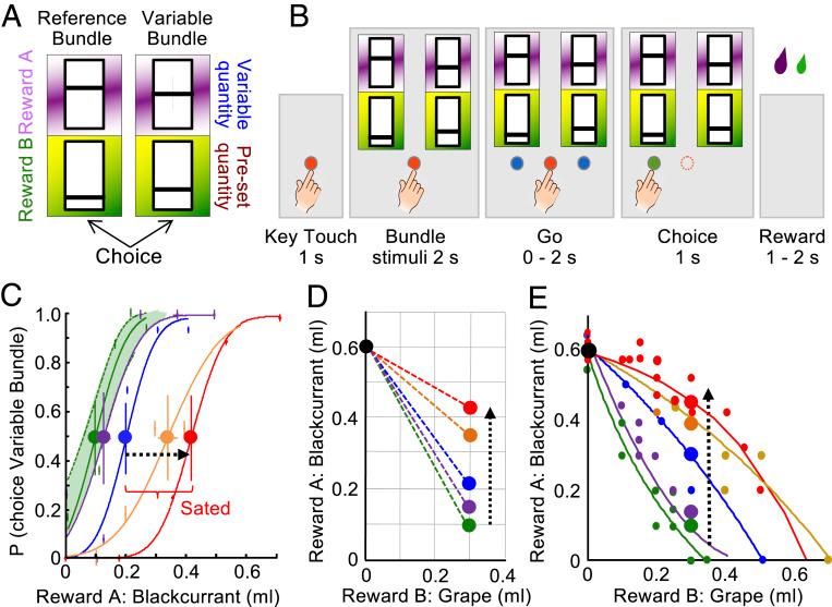 https://cdn.ncbi.nlm.nih.gov/pmc/blobs/8016/8325167/a0cfba8c0b42/pnas.2022650118fig01.jpg