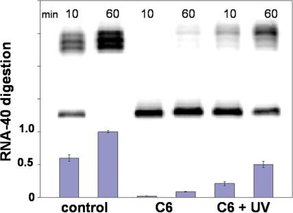 https://cdn.ncbi.nlm.nih.gov/pmc/blobs/801b/2241881/a722cf655b85/gkm1029f3.jpg